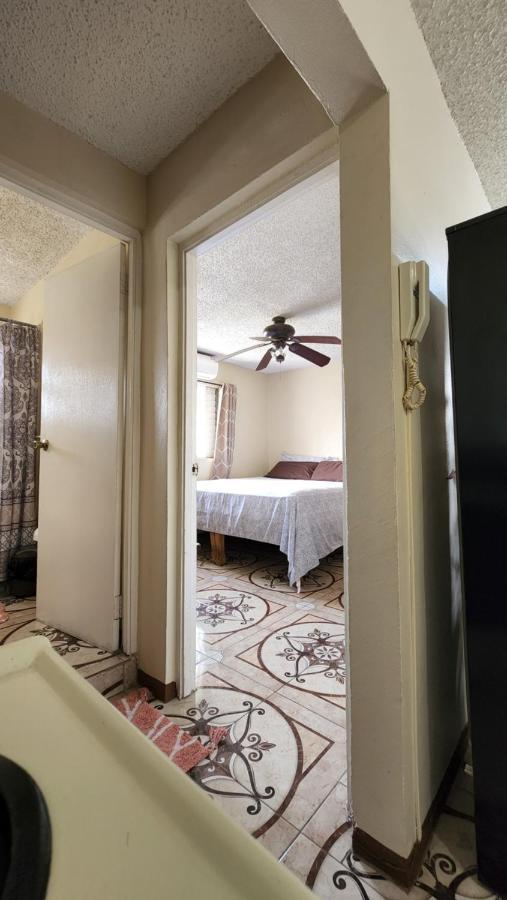 Oaklands Oasis Apartment Kingston Bagian luar foto