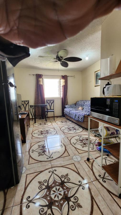 Oaklands Oasis Apartment Kingston Bagian luar foto