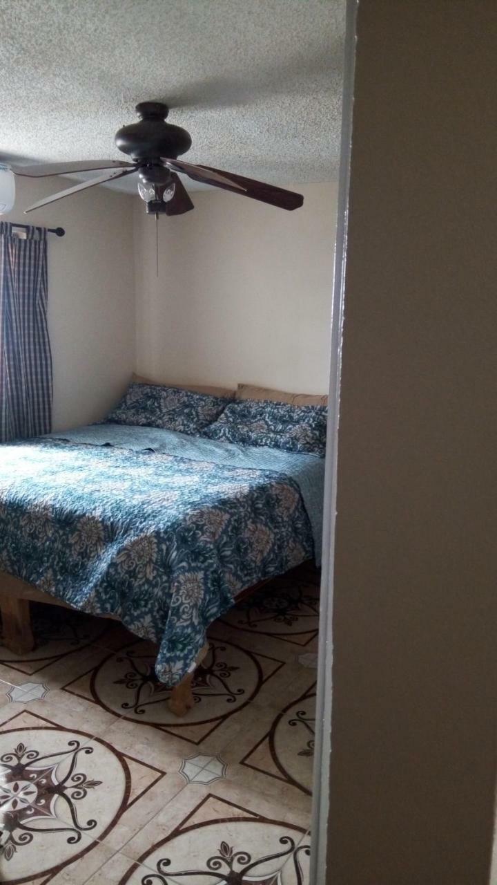 Oaklands Oasis Apartment Kingston Bagian luar foto