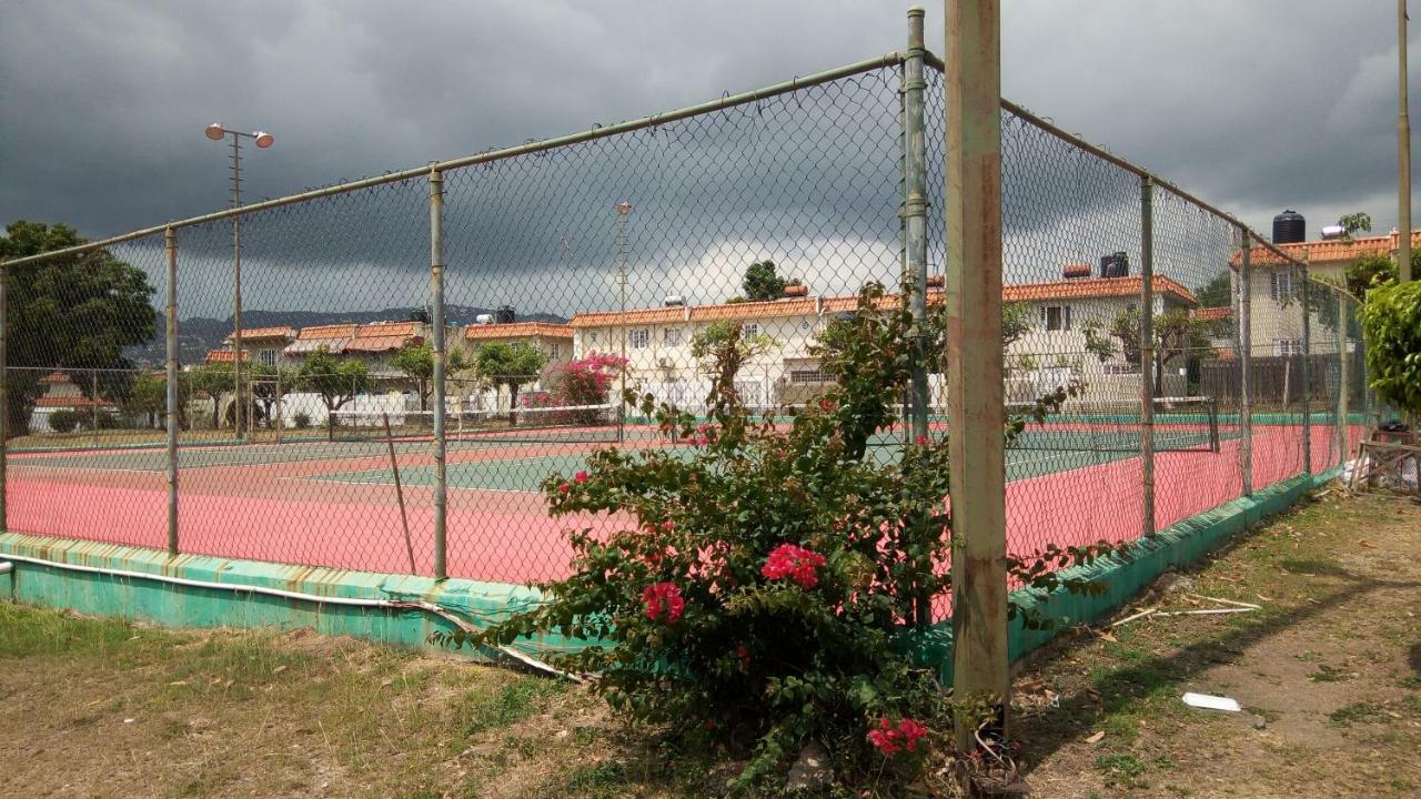 Oaklands Oasis Apartment Kingston Bagian luar foto